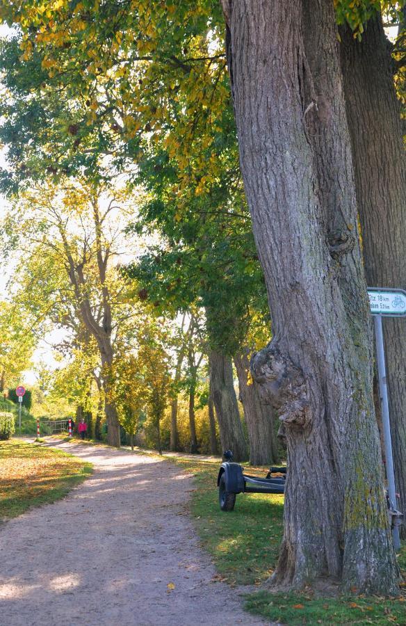 Am Hafensteig 19 Lägenhet Neustadt in Holstein Exteriör bild